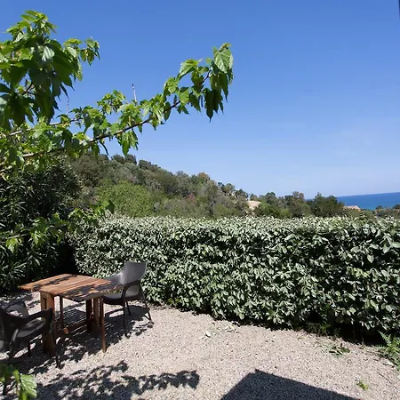 Chalet Corse Mare Alpehytte